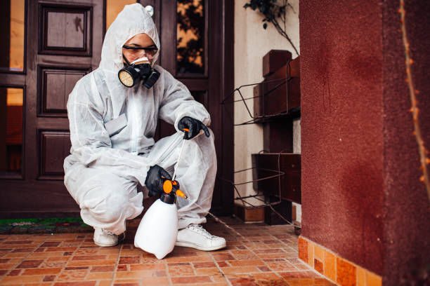Reliable Ant Control contractor in Liberty, NC by Nex Pest Control